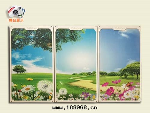 矽晶電(diàn)暖器