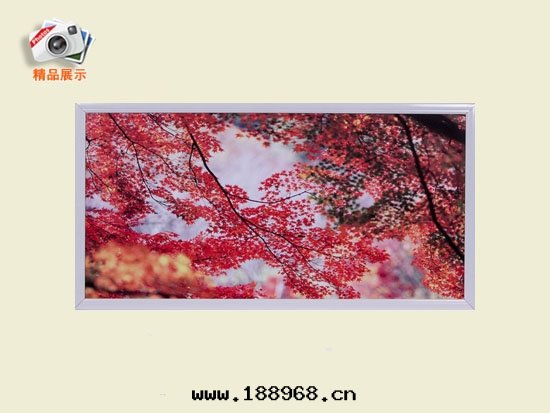 800W碳晶取(qǔ)暖器